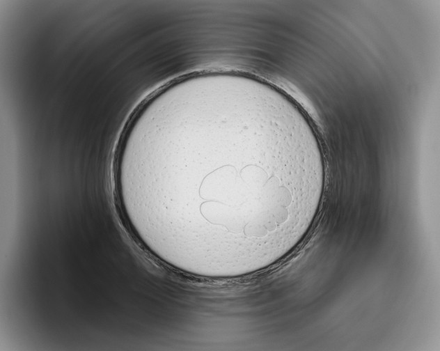X0000096410980200802211221