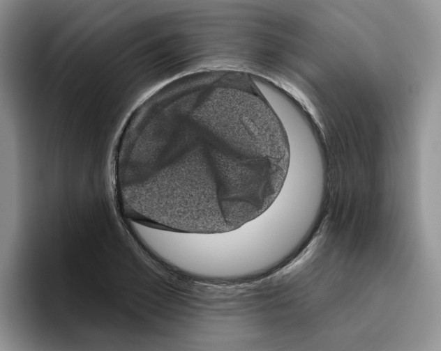 X0000096410981200802211221