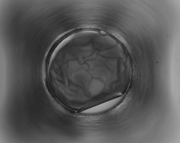 X0000096410984200802211221
