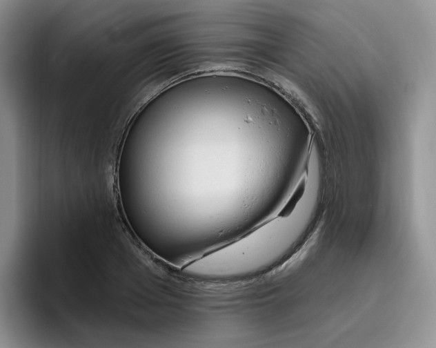 X0000096410985200802211221
