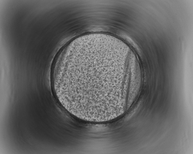 X0000096410986200802211221