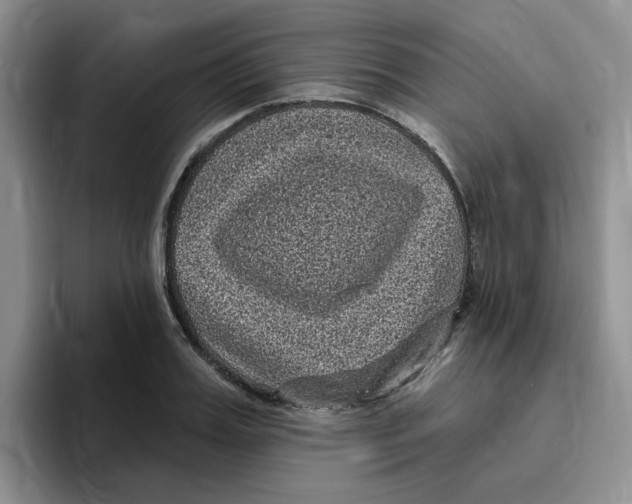 X0000096410987200802211221