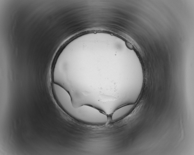 X0000096410988200802211221