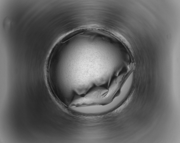 X0000096410989200802211221