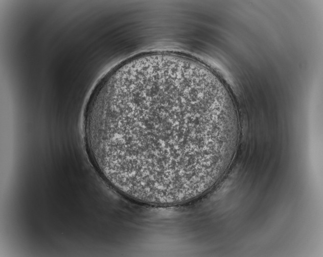 X0000096410990200802211221
