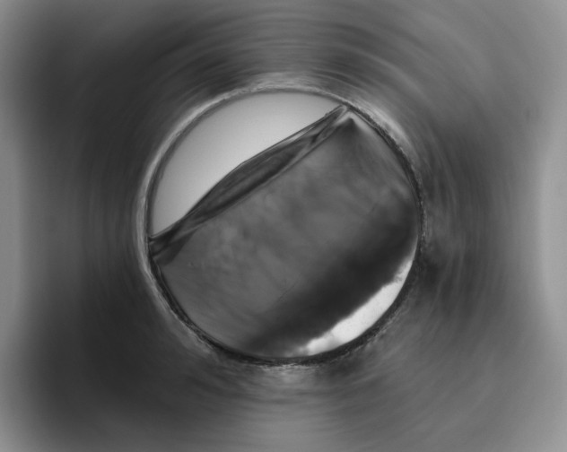 X0000096410992200802211221