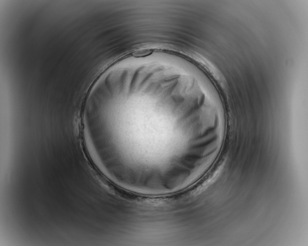 X0000096410993200802211221