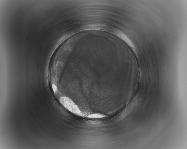 X0000096410994200802211221