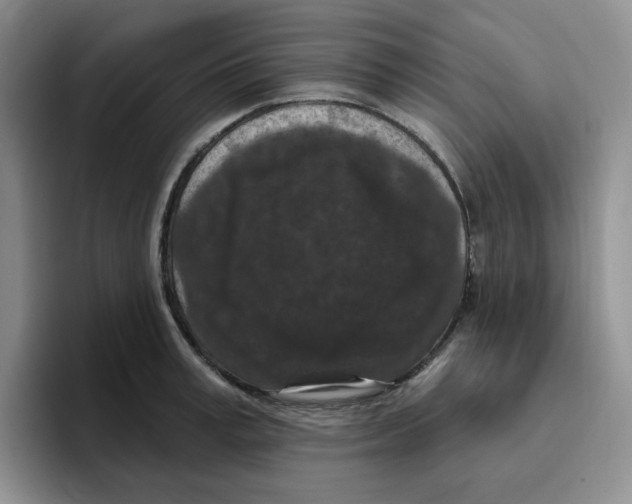 X0000096410995200802211221