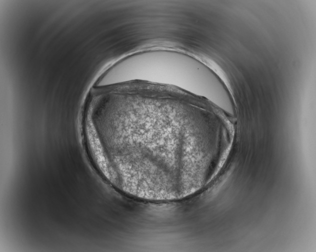 X0000096410997200802211221