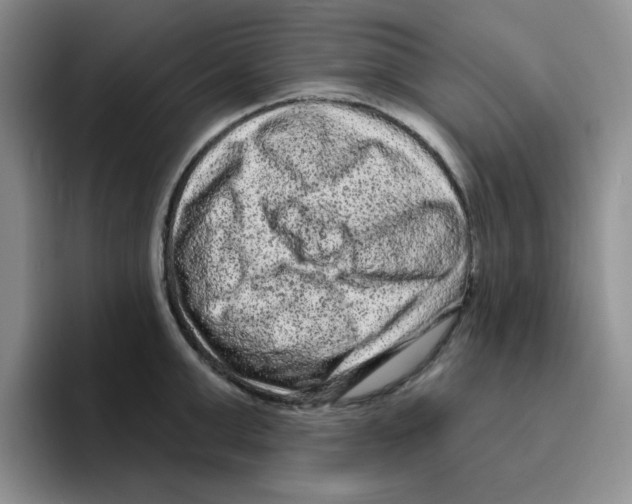 X0000096410999200802211221