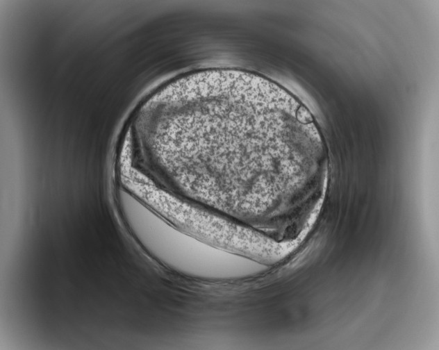 X0000096411000200802211221