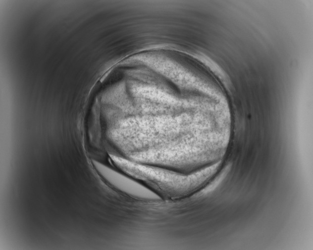 X0000096411001200802211221