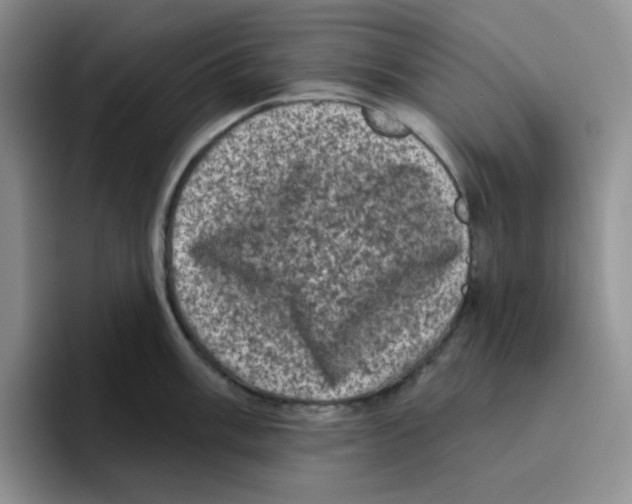 X0000096411003200802211221