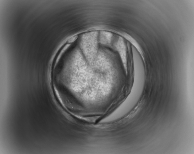 X0000096411005200802211221