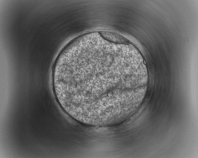 X0000096411006200802211221