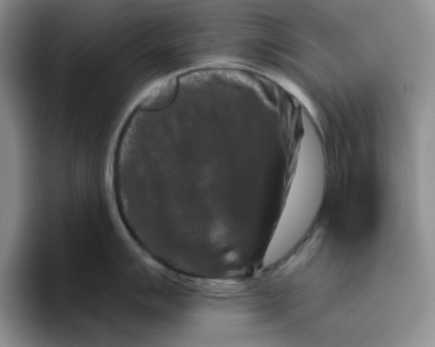 X0000096411007200802211221
