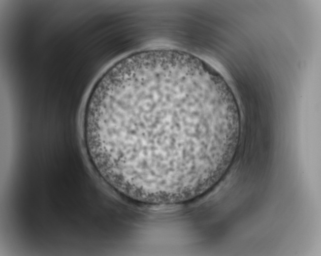 X0000096411008200802211221