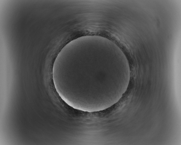 X0000096411009200802211220