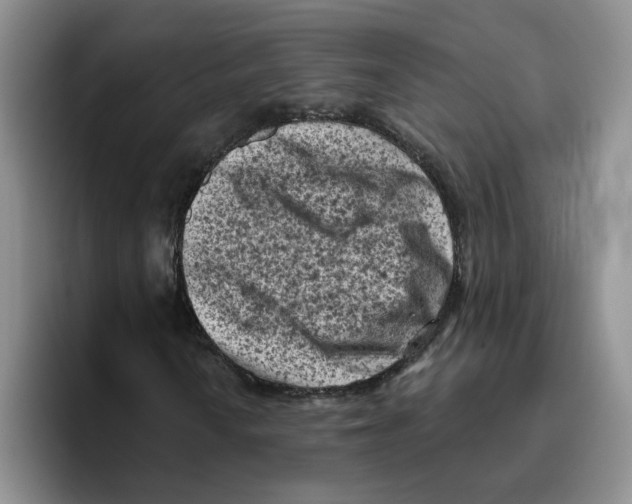 X0000096411010200802211220