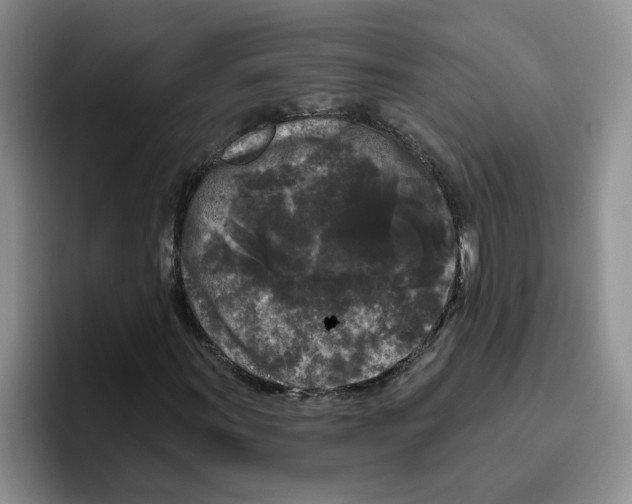 X0000096411011200802211220