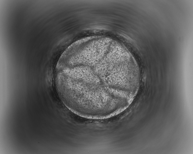 X0000096411014200802211220