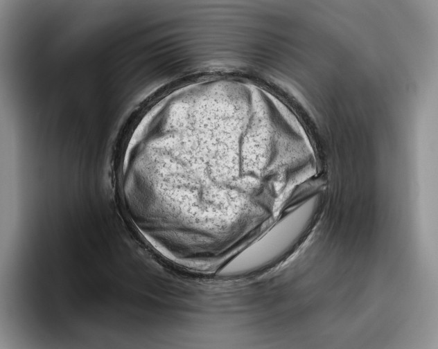 X0000096411018200802211220
