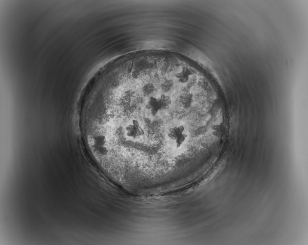 X0000096411019200802211221