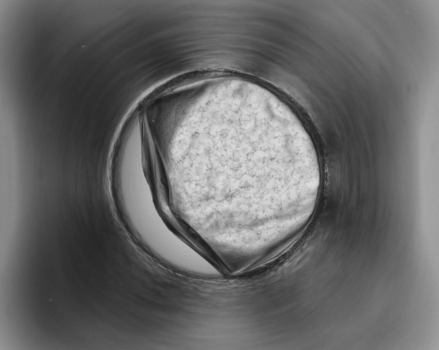 X0000096411020200802211221