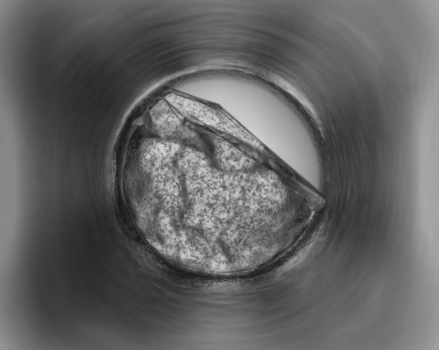 X0000096411021200802211221