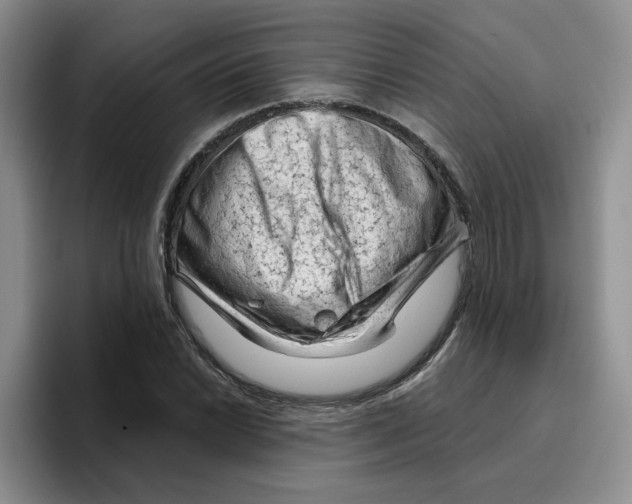 X0000096411022200802211221