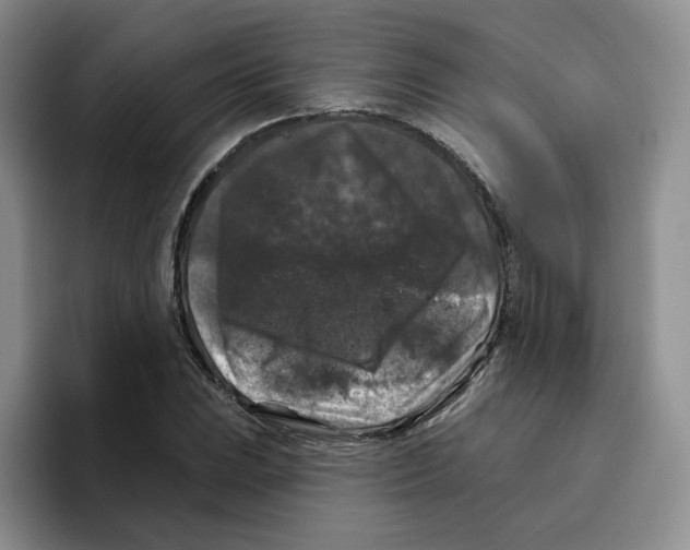 X0000096411023200802211221