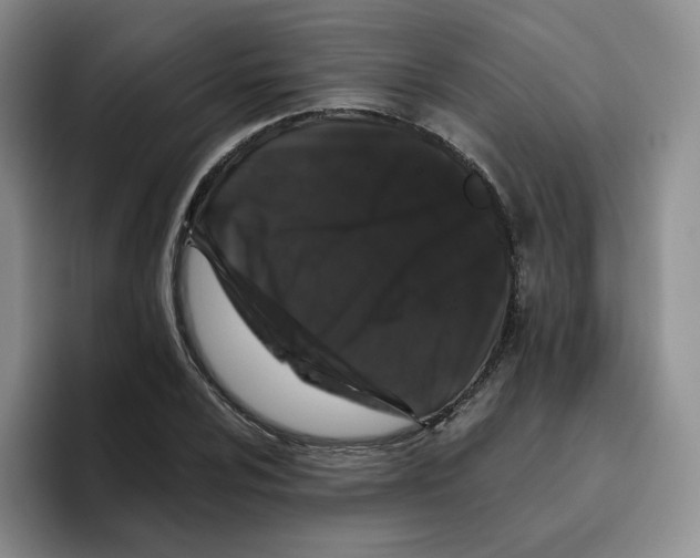 X0000096411024200802211221
