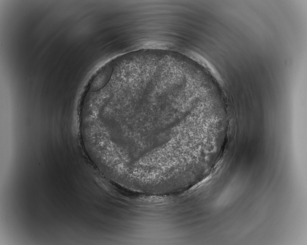 X0000096411027200802211221