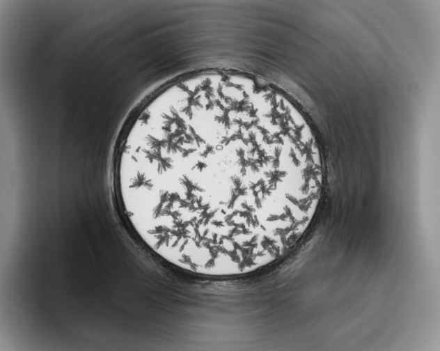 X0000096411028200802211221