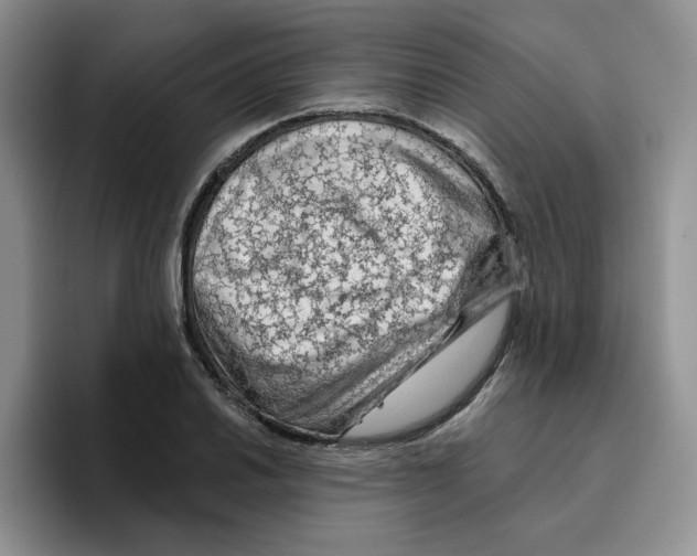 X0000096411030200802211221