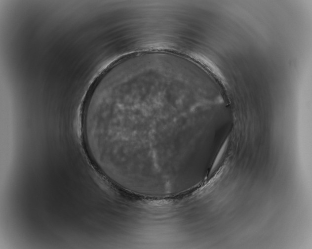 X0000096411031200802211221