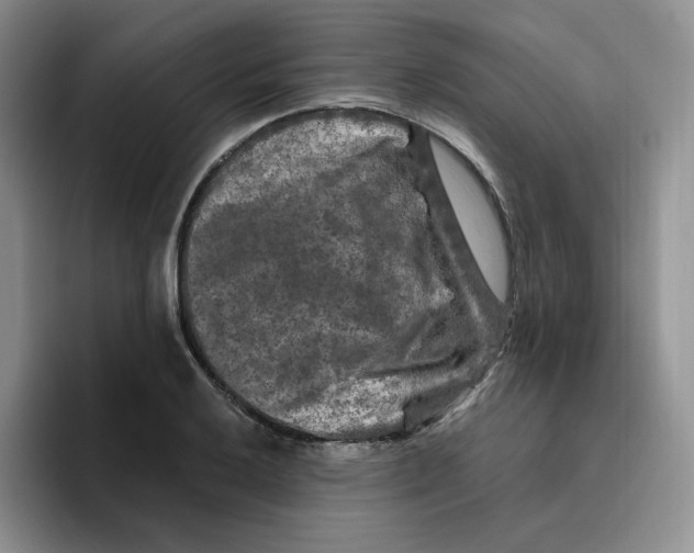 X0000096411032200802211221