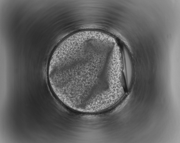 X0000096411033200802211221