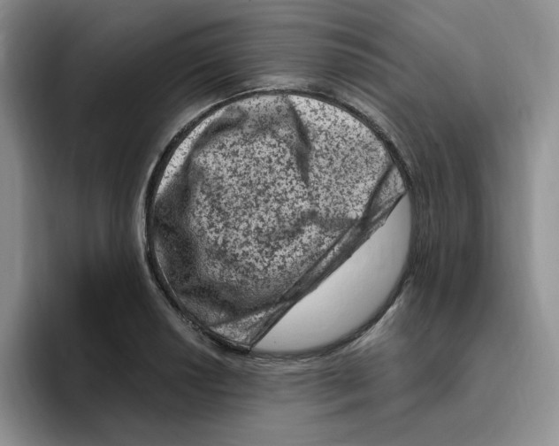 X0000096411034200802211221