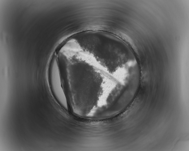 X0000096411035200802211221