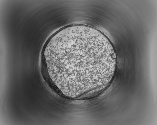 X0000096411036200802211221