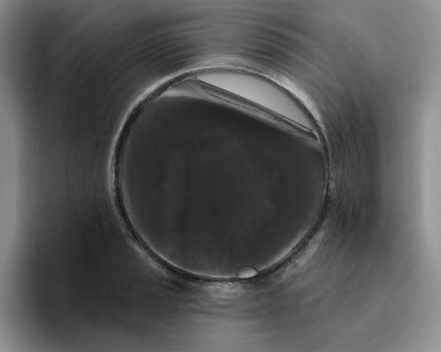 X0000096411037200802211221
