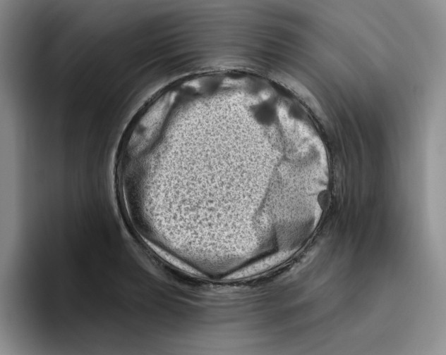 X0000096411039200802211221