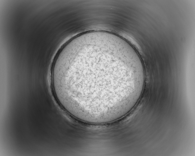 X0000096411040200802211221