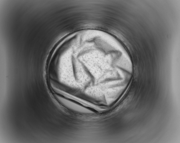 X0000096411042200802211221