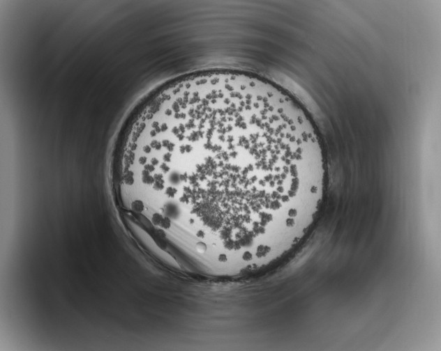 X0000096411043200802211221