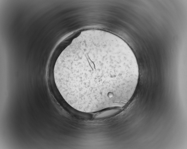 X0000096411044200802211221