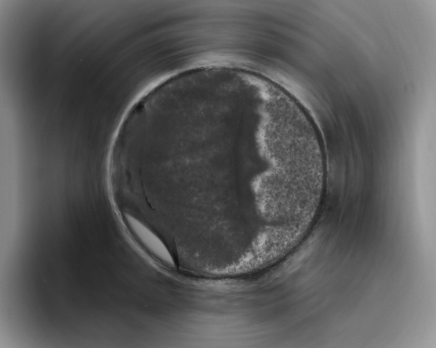 X0000096411045200802211221