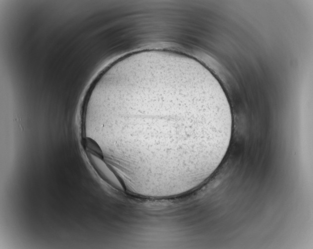 X0000096411046200802211221